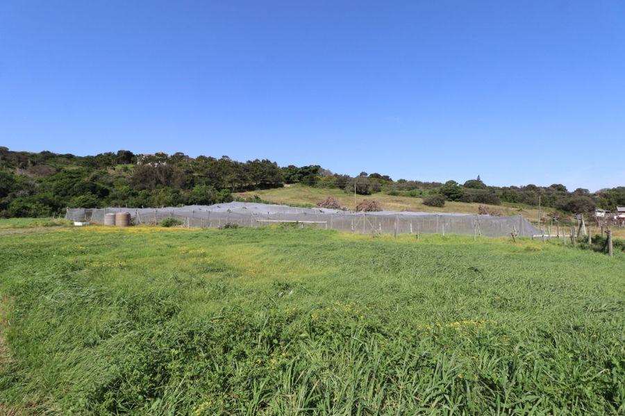 Commercial Property for Sale in Chelsea Eastern Cape